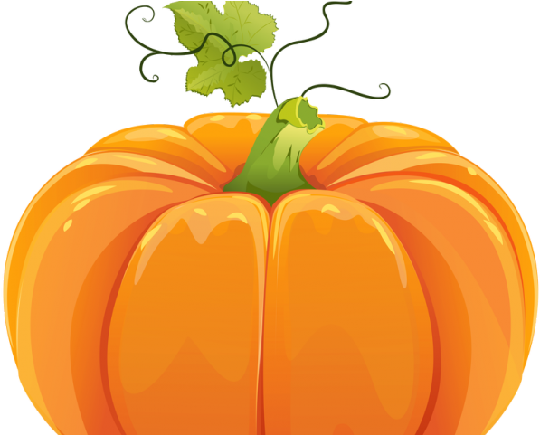 Harvest Clipart Small Fall - Clip Art Pumpkin Png (640x480)