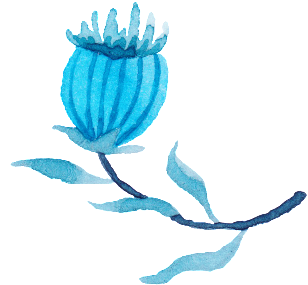 Poppy Bloom Transparent Watercolor Hand Painted Flower - Flower (1024x948)