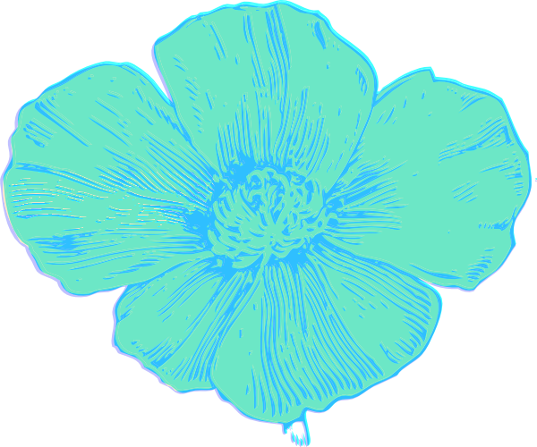 Anzac Poppy No Background (600x500)