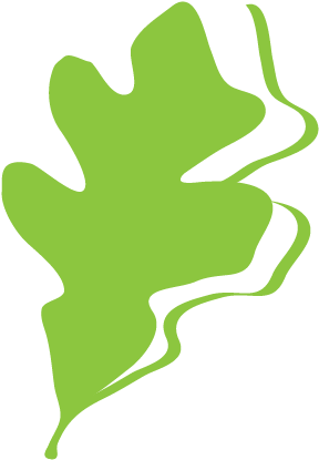 Emory Sustainability - Sustainability (335x457)