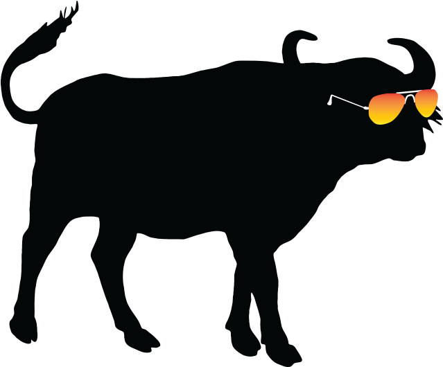 Summer Buffalo Summer Buffalo - Buffalo Silhouette (685x595)