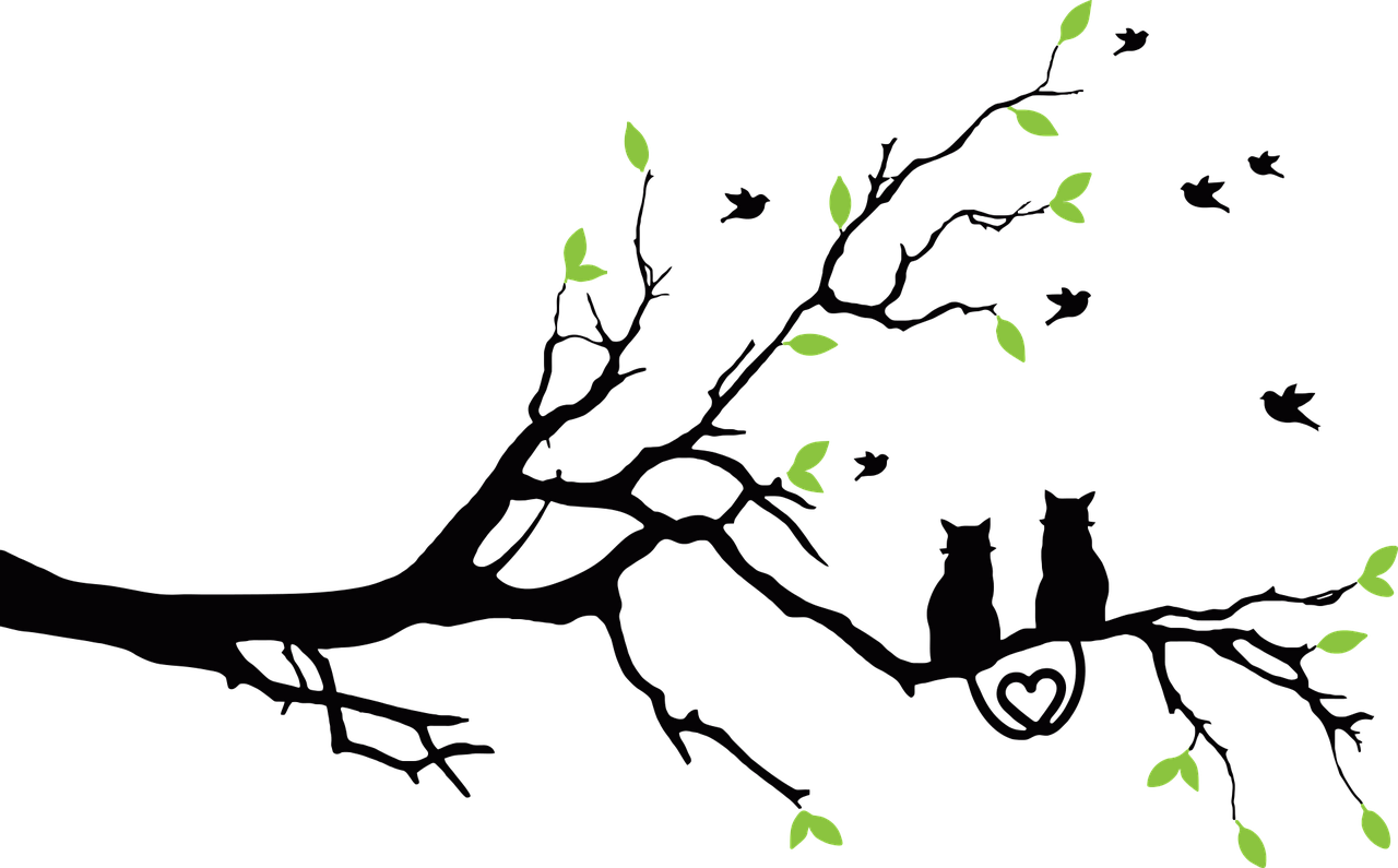 Pixabay - Tree Branch (1280x795)