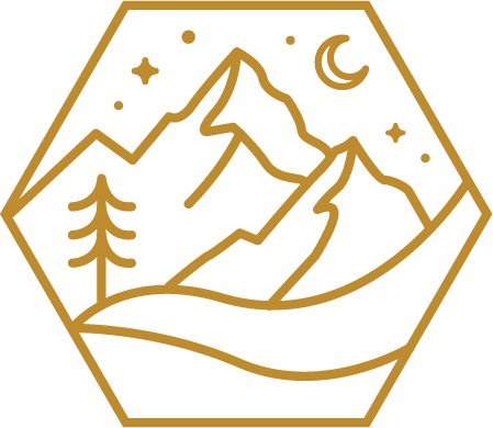 Ht Shredcamps Gold - Gold (449x390)