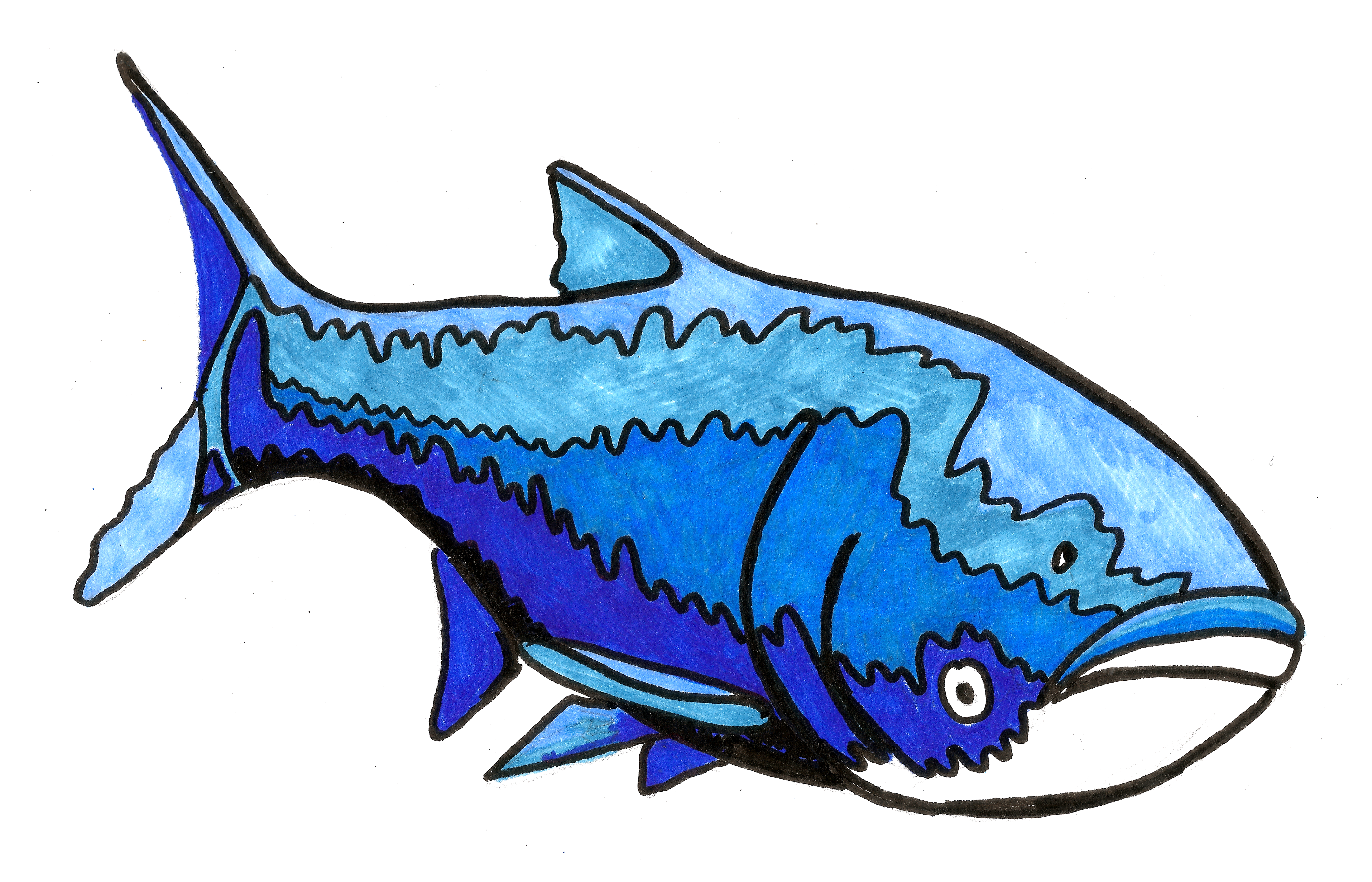 Asian Carp - Asian Carp (6574x4227)