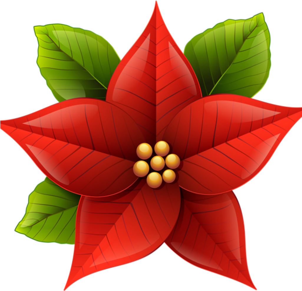 Poinsettia Clip Art Christmas Poinsettia Png Clip Art - Clip Art Poinsettia (1024x1024)