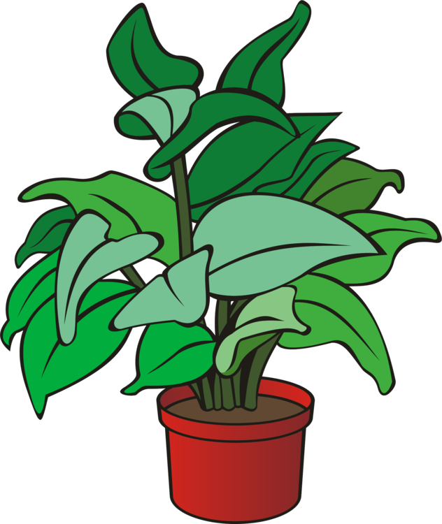 All Photo Png Clipart - Clipart Picture Of Plant (632x750)