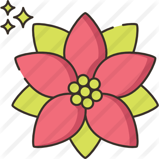 Poinsettia Free Icon - Poinsettia (512x512)