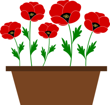 Flowering Pot Plants Clip Art - Poppy Flower Clip Art (355x340)