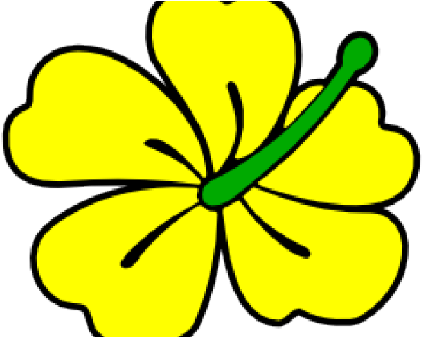 Flowers Borders Clipart Hibiscus - Rosemallows (640x480)