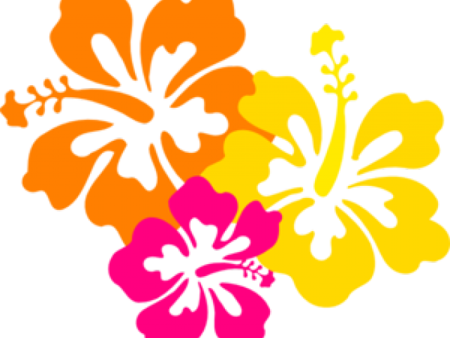 Flowers Borders Clipart Hibiscus - Hibiscus Clip Art (640x480)