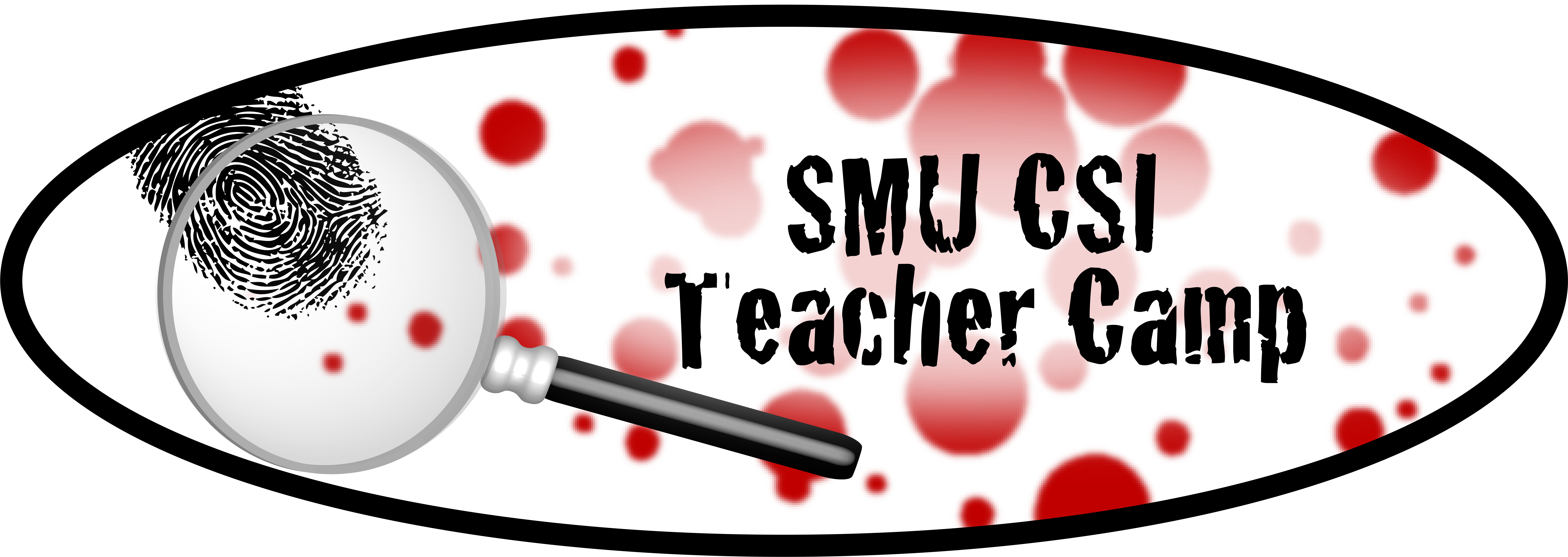 2013 Csi Teacher Workshop - Band Camp Rocks Pillow Sham (8667x3645)