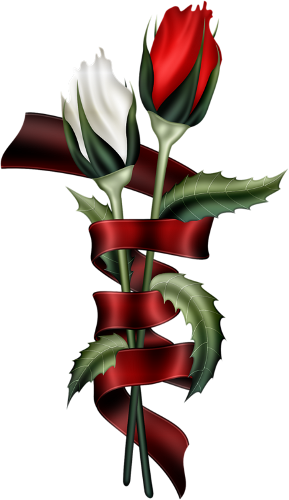 Яндекс - Фотки - Grazie Per Avermi Accettato L Amicizia (289x500)