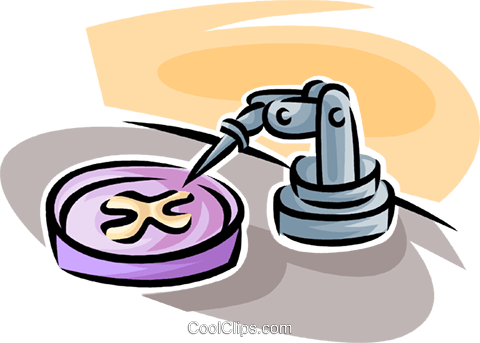 Petri Dish Royalty Free Vector Clip Art Illustration - Illustration (480x343)
