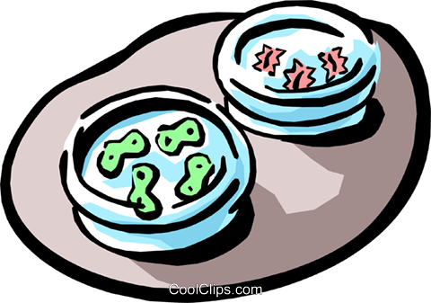 Culture Dish Royalty Free Vector Clip Art Illustration - Cell For Grade 5 (480x337)