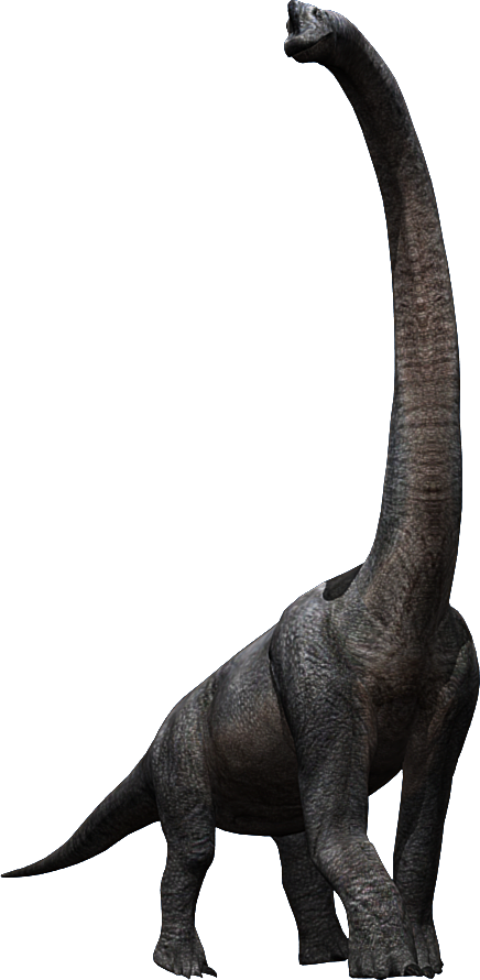 Brachiosaurus - Jurassic Park Brachiosaurus Png (436x890)