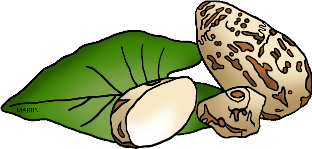 Codes For Insertion - Taro Plant Clip Art (648x330)