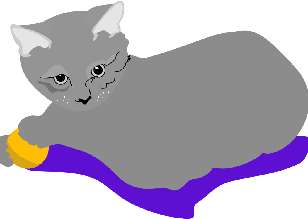 Kitten Tabby Cat Whiskers Domestic Short-haired Cat - Cat (1051x750)
