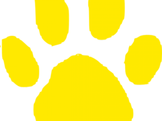 Paw Clipart Bobcat - Jaguar Paw Print (640x480)