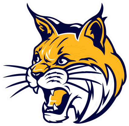 November 9, 2018 Dougdonnelly - Whiteford Bobcats (450x450)