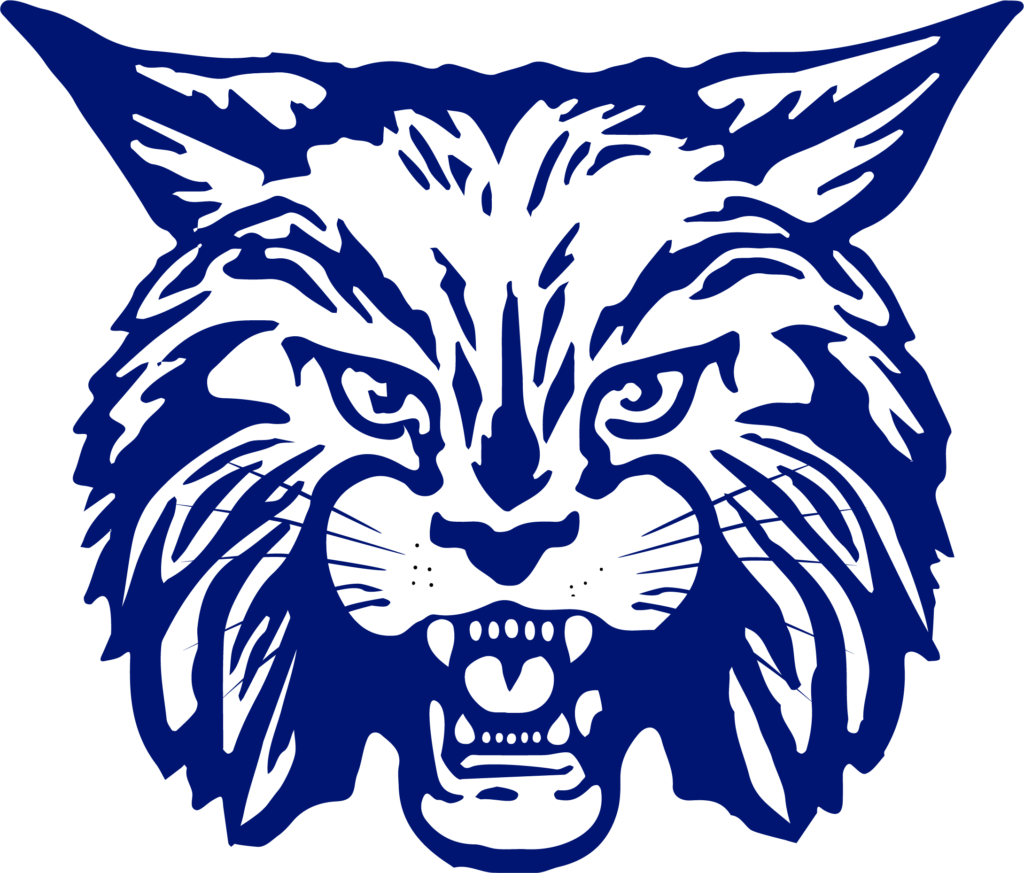 Bobcat Clipart School - Dimmitt Bobcats (1024x873)