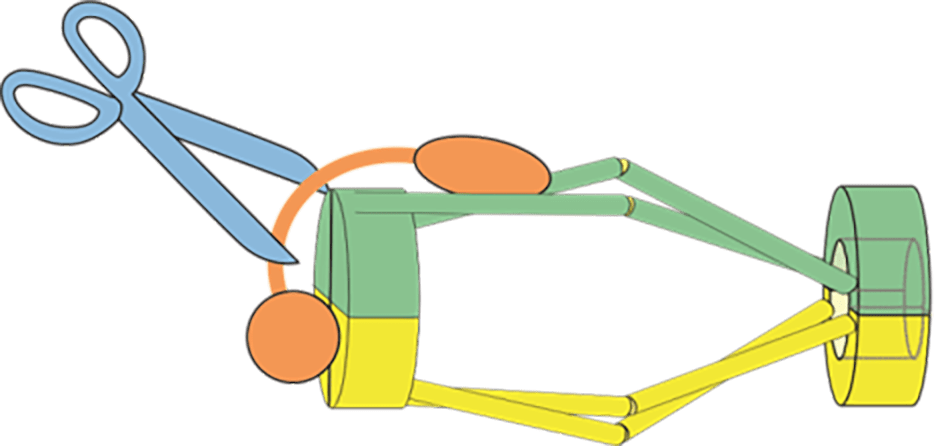 New Study Challenges Assumed Cell Division Process - Cell Division (934x446)