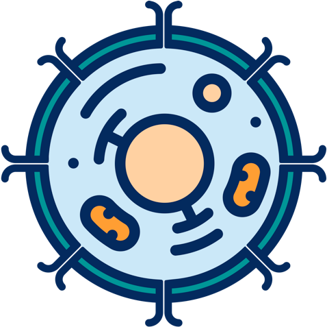 Coeliac Disease Is An Autoimmune Disorder That Is Closely - Predictive Dialer (480x483)