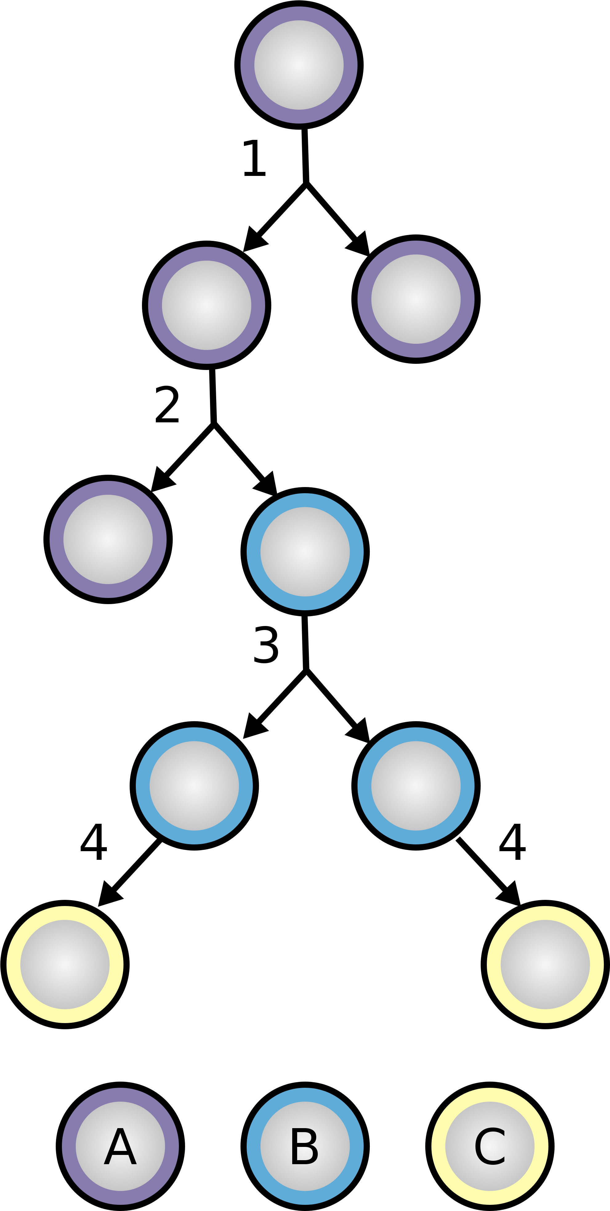 Stem Cell Division And Differentiation A - Stem Cell Division And Differentiation (2000x4000)