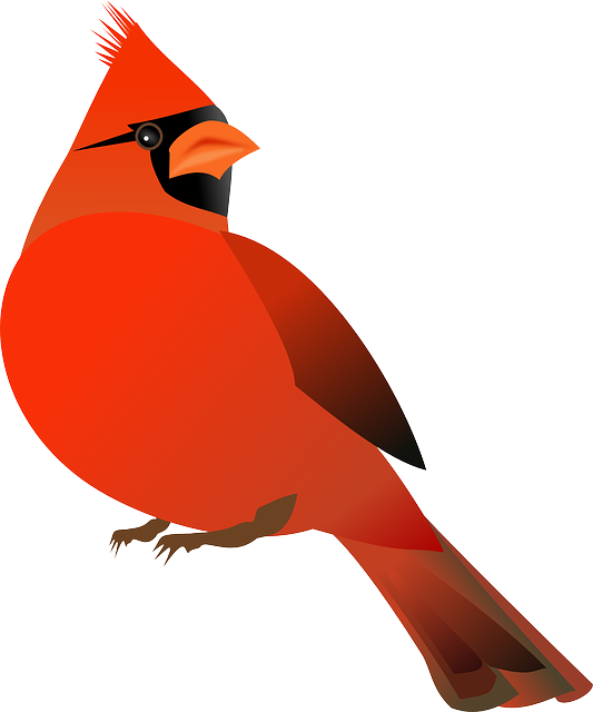 Free Image On Pixabay Cardinal Bird Cardinalidae - Cardinal Bird Cartoon (533x640)