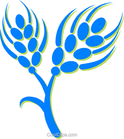 Unprocessed Grain Royalty Free Vector Clip Art Illustration - Grain Clip Art (429x480)