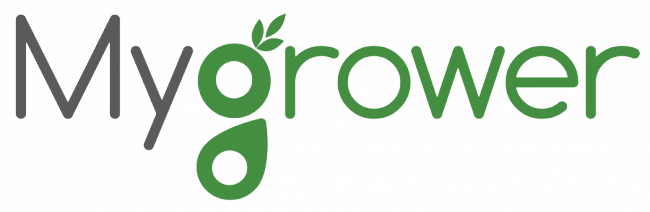 Need The Ability To Access Your Pnw Accounts Quickly - Hypothesis Group Logo (650x212)