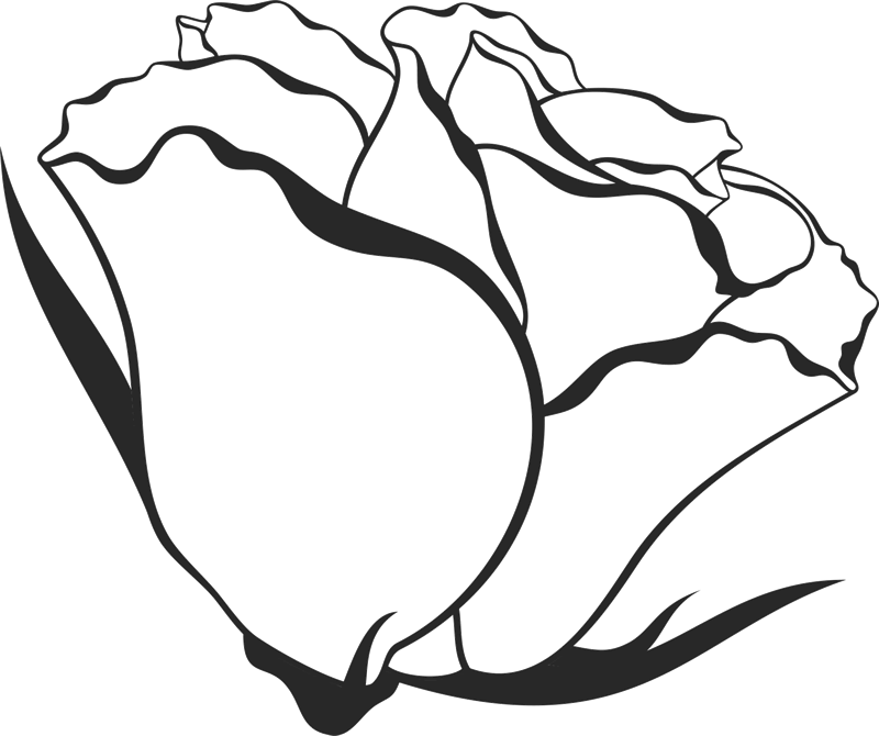 Picture Download Bicep Drawing Side View - Rose Drawing Side View (800x670)