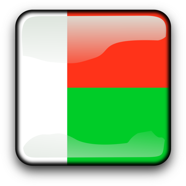 Madagascar Red Computer Icons Graphic Arts - Flag Of Madagascar (750x750)