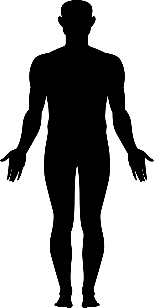 Png File Pluspng - Body Png Icon (492x980)