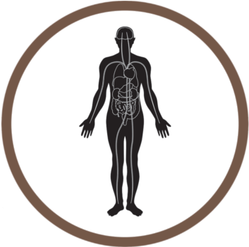 Can Silver Amalgam Fillings Make You Sick - Body Health Icon (500x500)