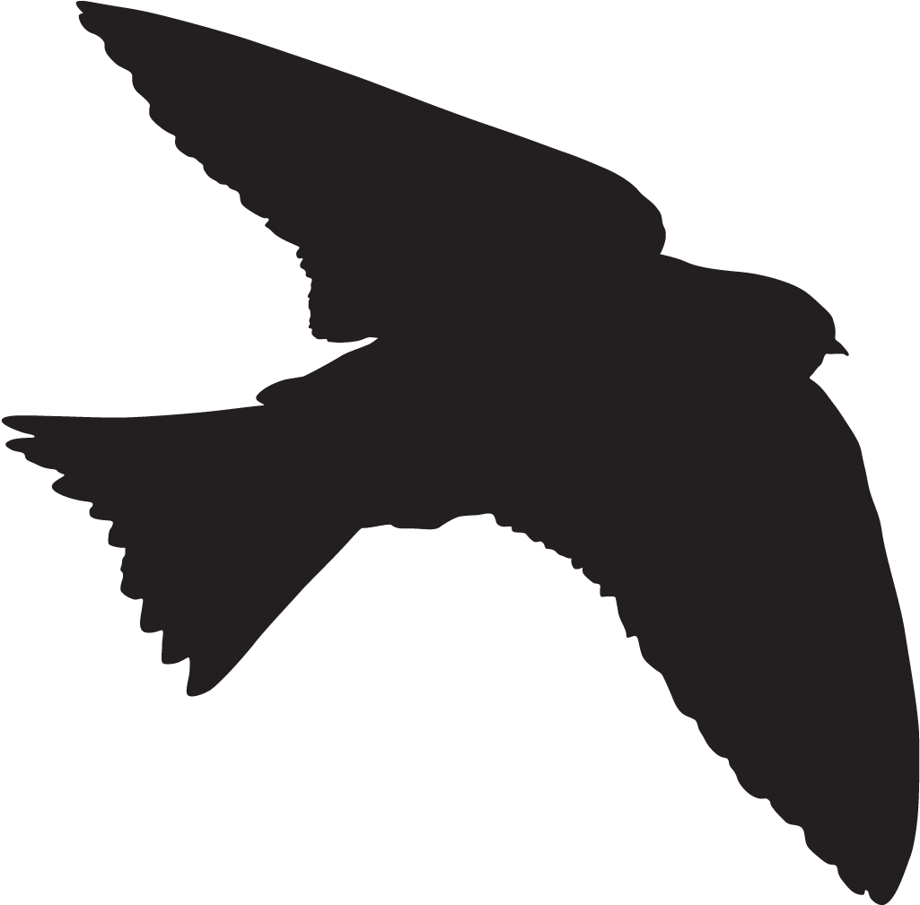 Swallow Overview All About - Tree Swallow Silhouette (1024x1024)