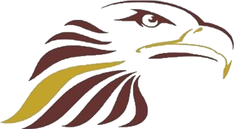 Bald Eagle (504x504)