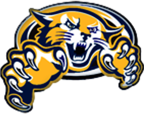 Full Schedule - Vector Wildcat (500x500)