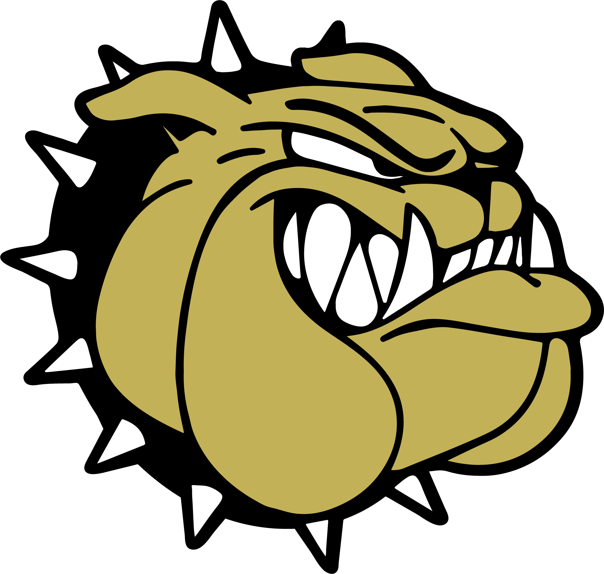 Palmer High School - Palmer Bulldogs (2087x1984)
