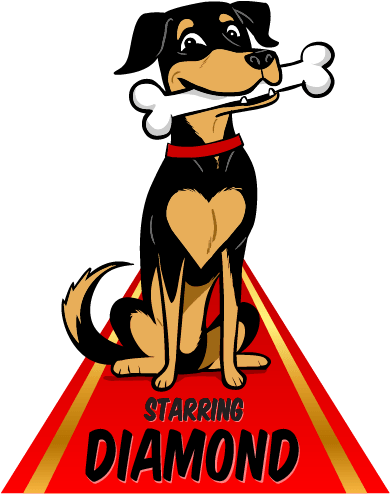 He's A Star Dog Actor, And He's Here To Show You Everything - Dog (389x500)