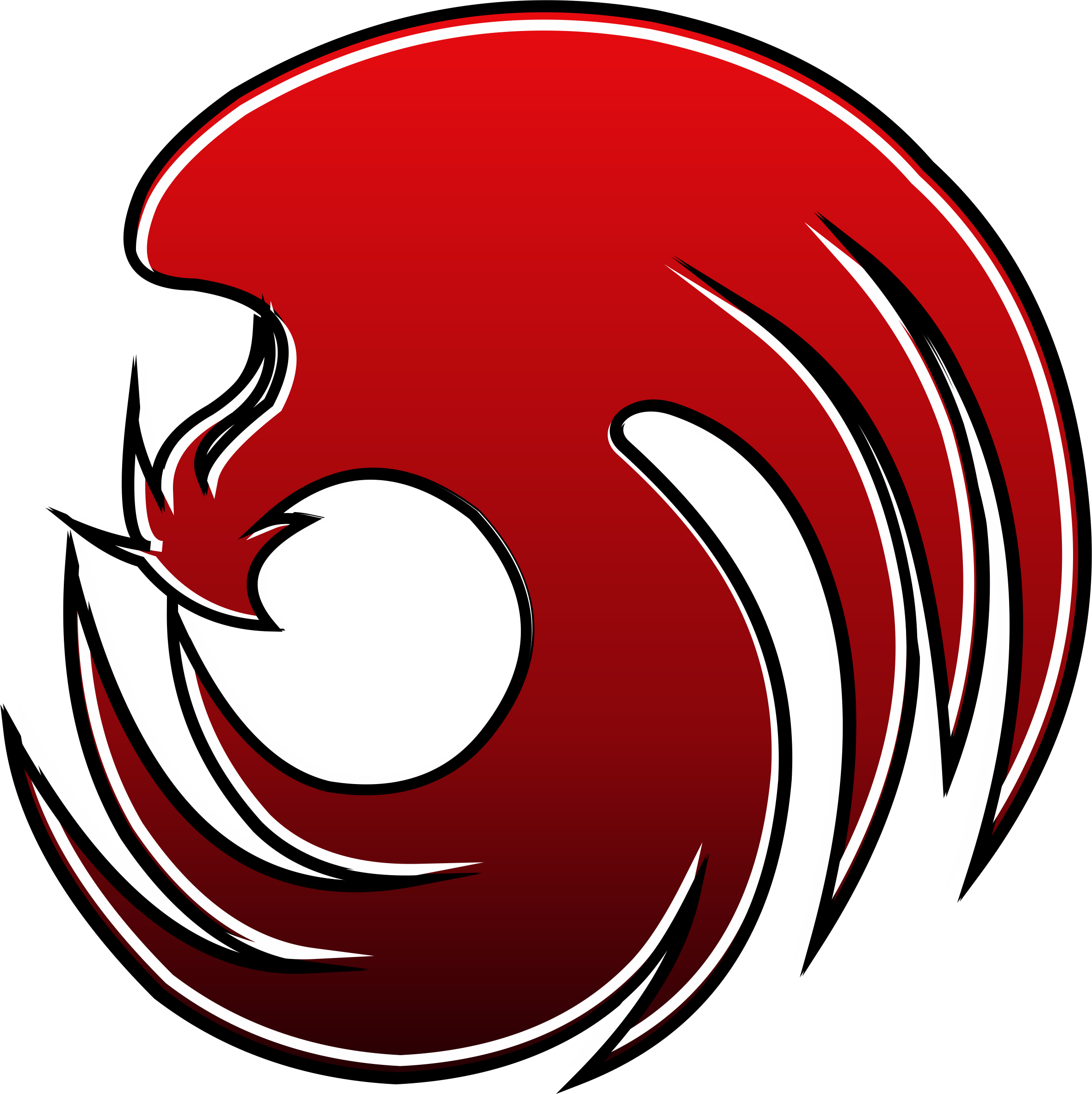 Raven - Phoenix Ace Combat (2361x2365)