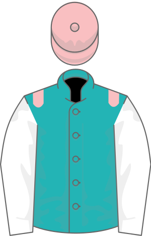 Owner Mr K Abdulla France - Epsom Oaks (300x468)
