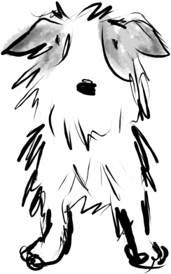 Jack Russell Terrior - Jack Russell Terrier (508x508)