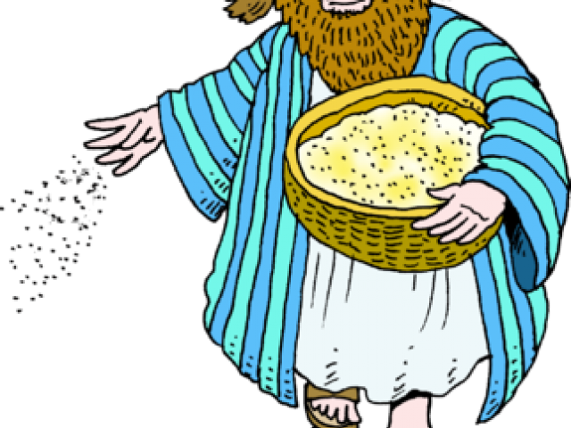 Seeds Clipart Corn Seed - Seeds Clipart Corn Seed (640x480)