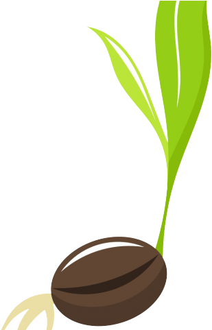 Seeds Clipart - Seed (640x480)