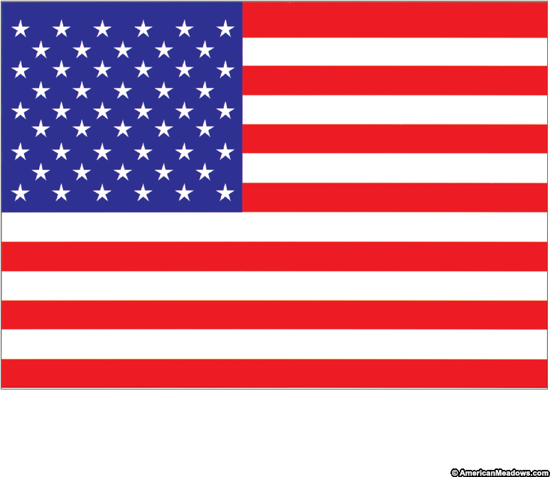American Seed Packet Meadows - American Flag (800x800)