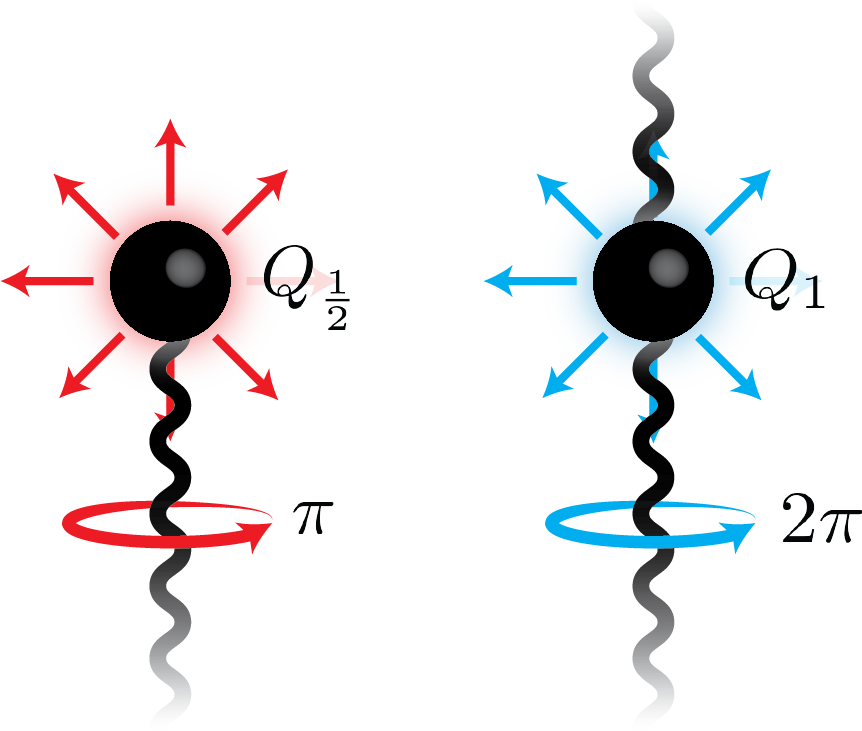 Show More Plots - Electric Charges (862x731)