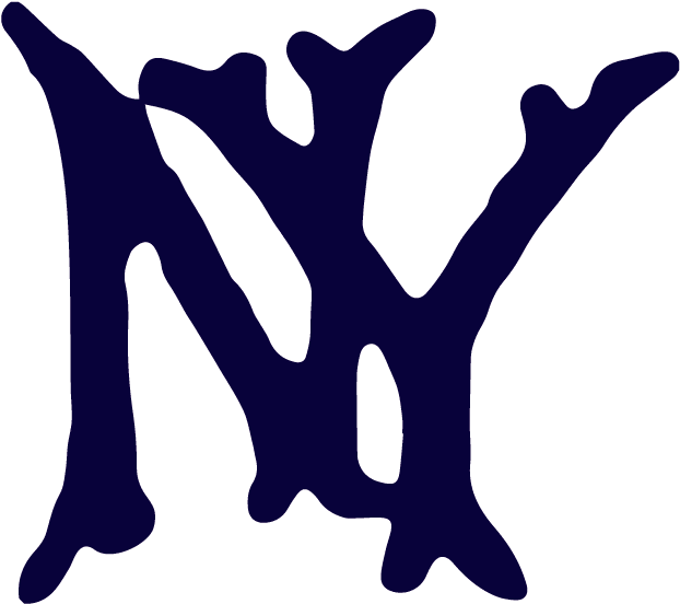 1905 New York Highlanders Logo - Yankees Logo Through The Years (1000x612)