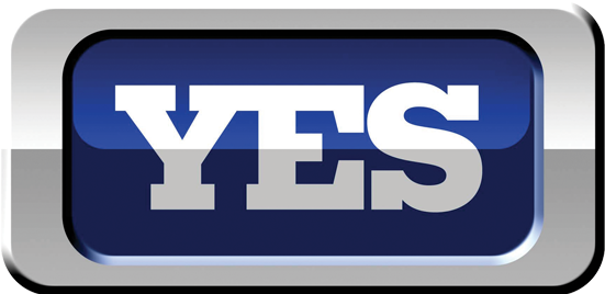 Yankees - Yes Network Logo Png (550x350)