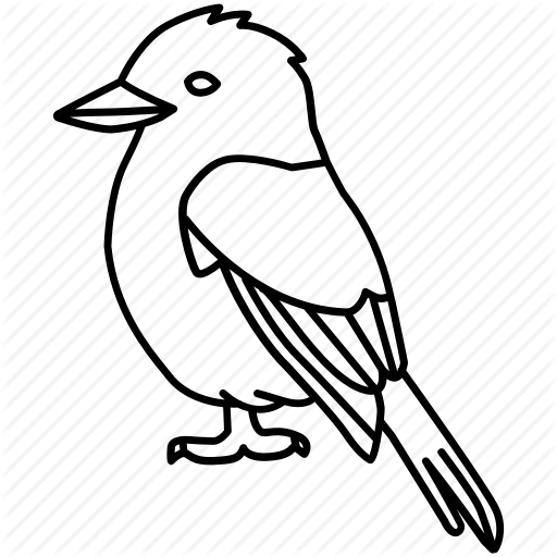 Image Royalty Free Birds Outlines By Jisun - Draw A Kookaburra Easy (512x512)