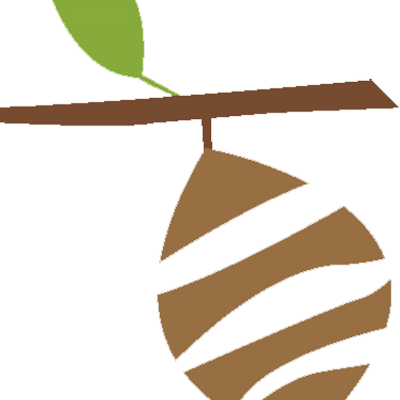 Mister Cocoon - Cocoon (400x400)